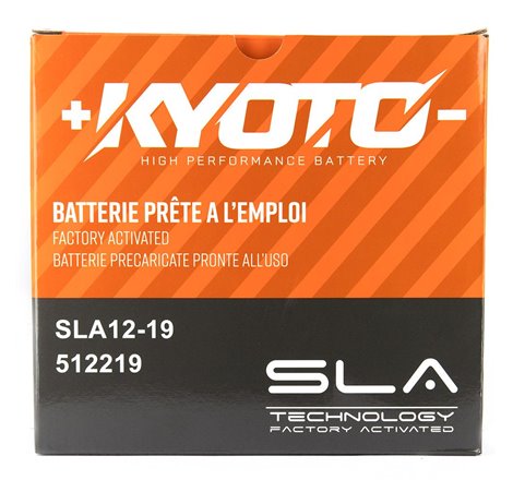 Batterie SLA12-19 