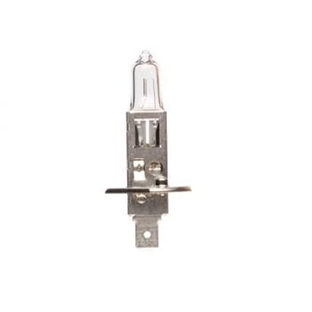 Ampoule H1 Svs - 12V 55W P14.5s