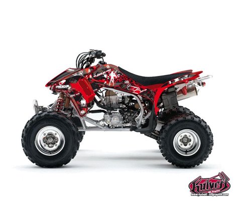 Kit Déco Quad Freegun Honda 450 TRX (2004-2005)