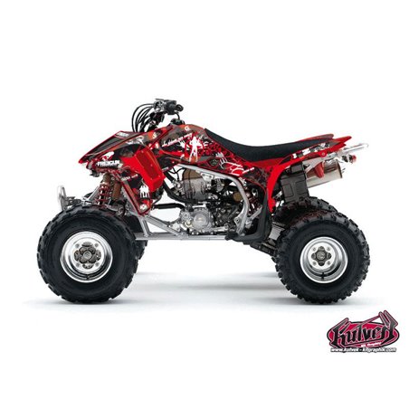 Kit Déco Quad Freegun Honda 450 TRX (2004-2005)