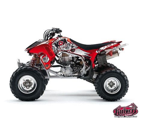 Kit Déco Quad Demon Honda 450 TRX (2004-2005)