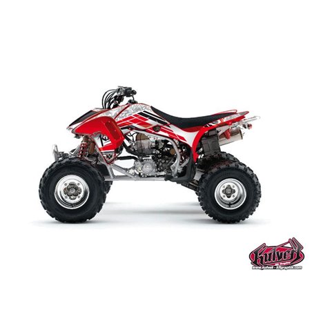 Kit Déco Quad Spirit Honda 450 TRX (2006-2007)