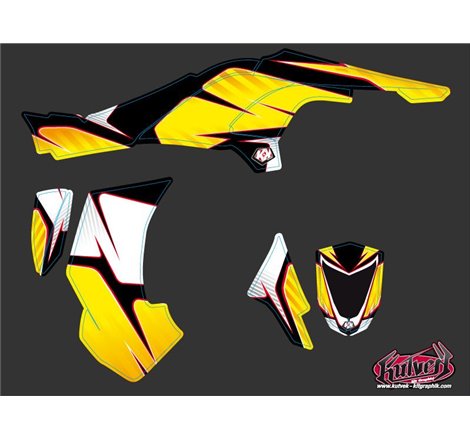 Kit Déco Quad Factory Can Am DS 450 (2008-2015)