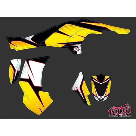 Kit Déco Quad Factory Can Am DS 450 (2008-2015)
