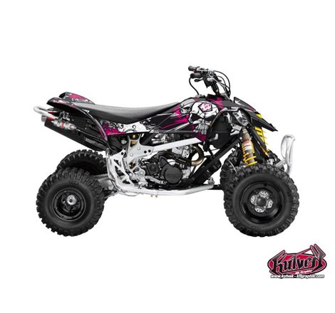 Kit Déco Quad Trash Can Am DS 450 Noir Rose (2008-2015)