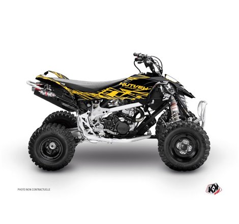 Kit Déco Quad Eraser Can Am DS 650 Jaune Noir (2001-2006)