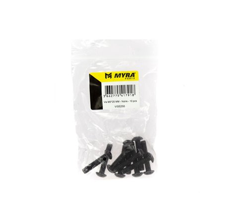 Vis M5*25 MM - Noire - 10 pcs