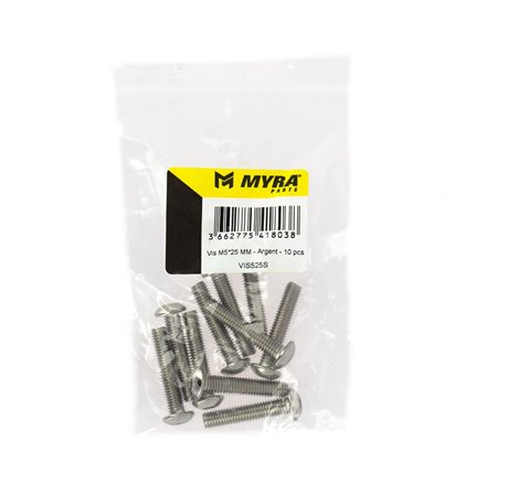 Vis M5*25 MM - Argent - 10 pcs