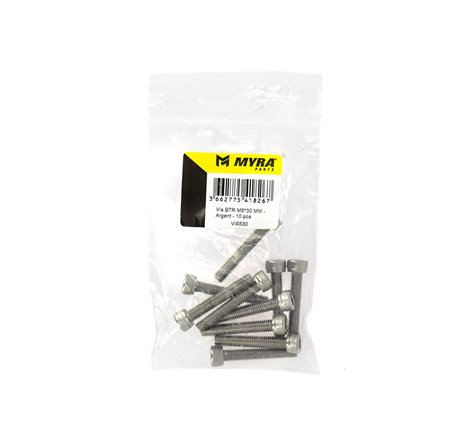 Vis BTR M5*30 MM - Argent - 10 pcs