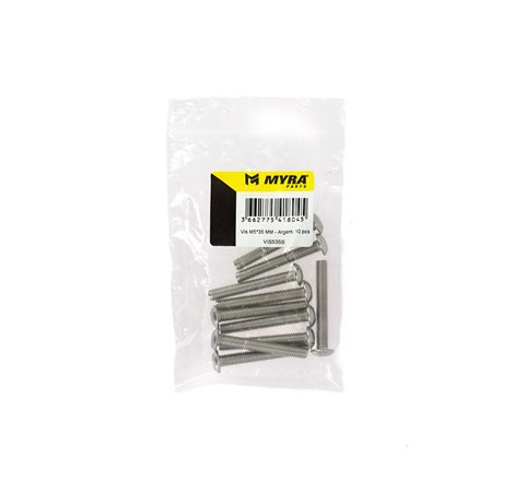 Vis M5*35 MM - Argent- 10 pcs