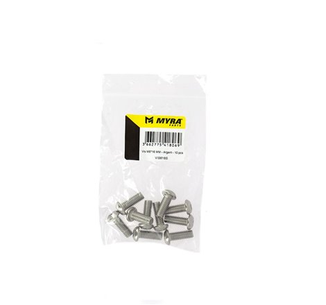 Vis M6*16 MM - Argent - 10 pcs