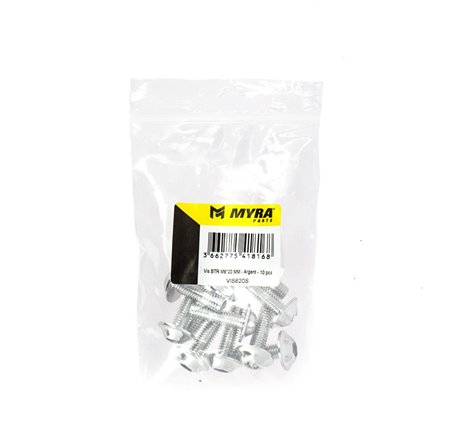 Vis BTR M6*20 MM - Argent - 10 pcs