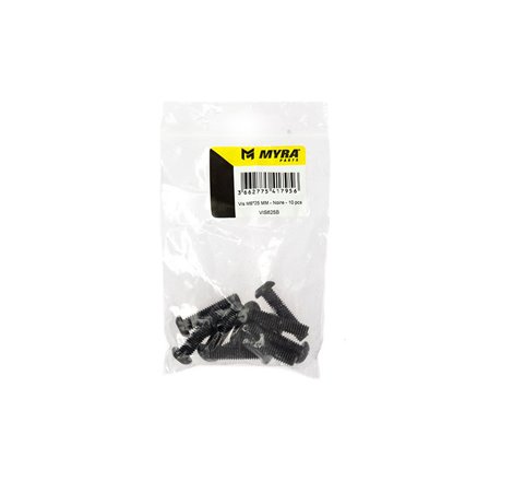 Vis M6*25 MM - Noire - 10 pcs