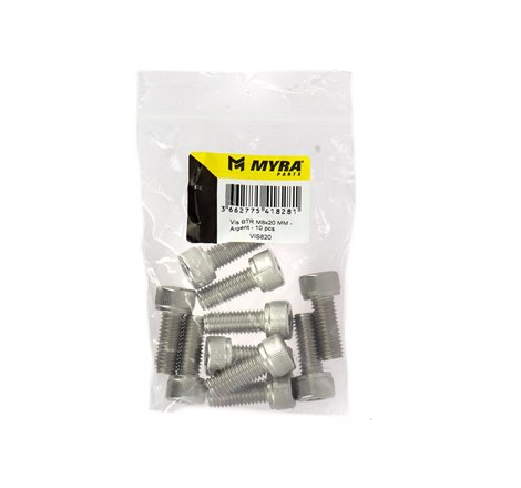 Vis BTR M8x20 MM - Argent - 10 pcs