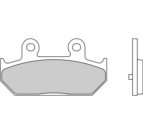 Plaquette de frein Organique Eco-Friction Route - R90