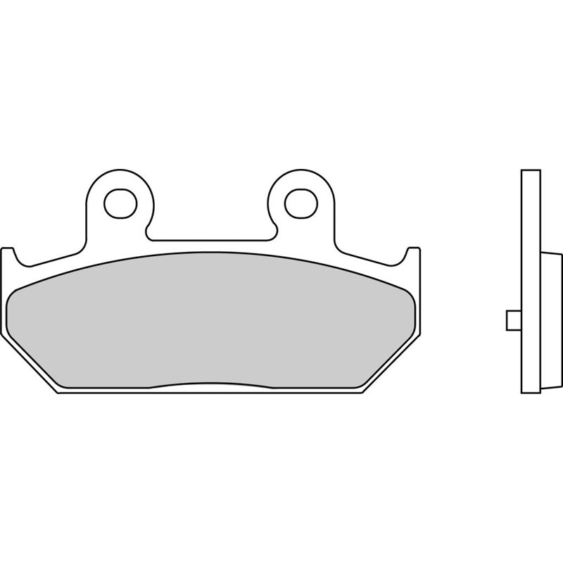 Plaquette de frein Organique Eco-Friction Route - R90