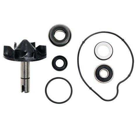 Kit Pompe à Eau Tmax 530 2012-2016