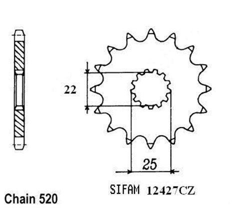 Pignon TT TM - 520 - 13 Dents - Made in Germany